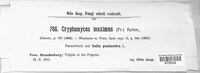 Image Associated With the Occurence